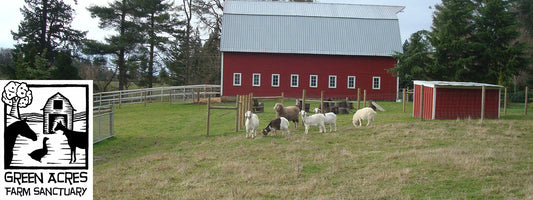 02-10-24 - Green Acres Farm Sanctuary